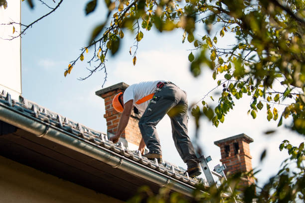 Best Roof Ventilation Installation  in Jonesborough, TN