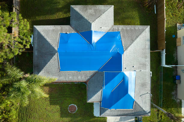 Best Cold Roofs  in Jonesborough, TN